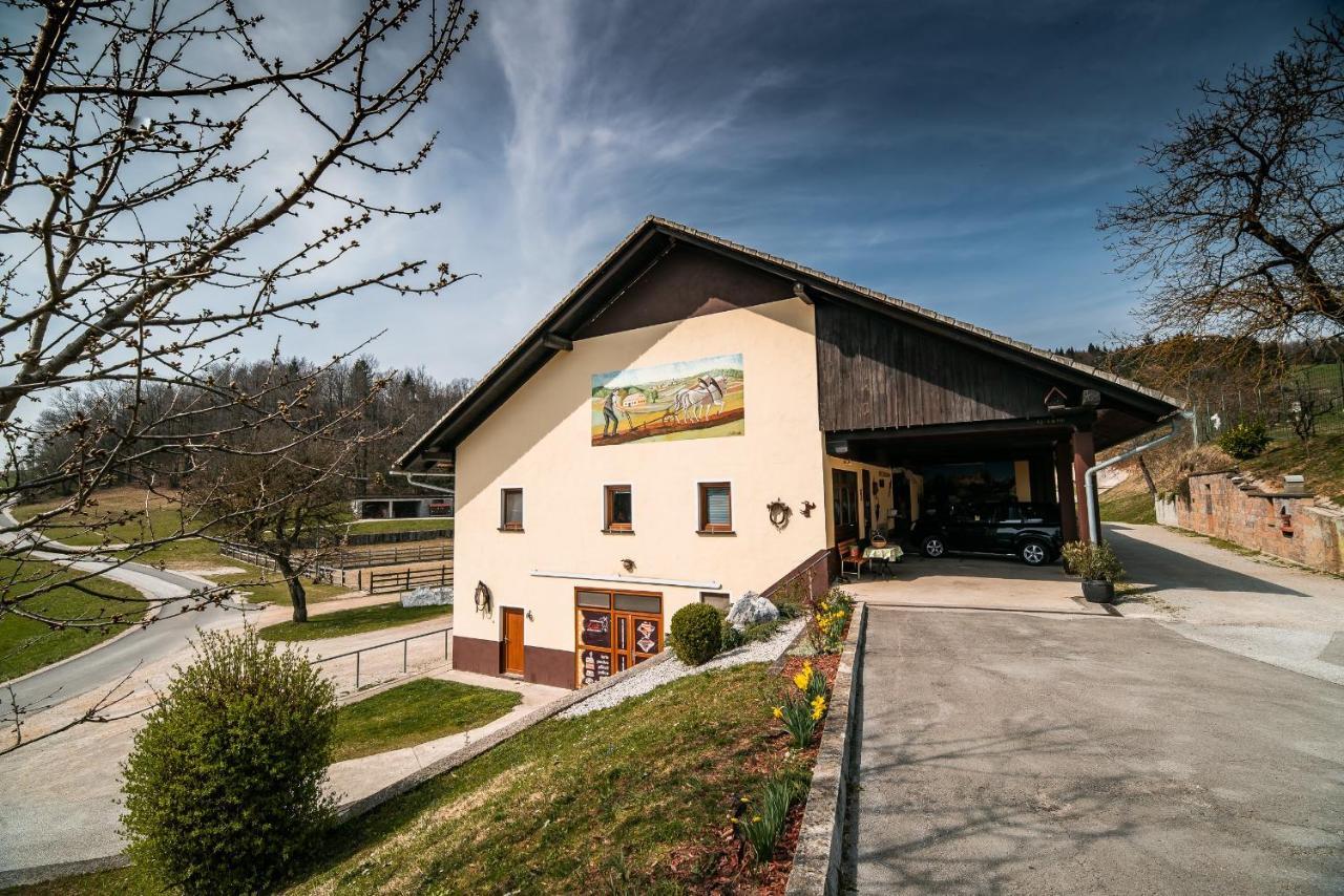 Farm Stay Ana Visnja Gora Extérieur photo