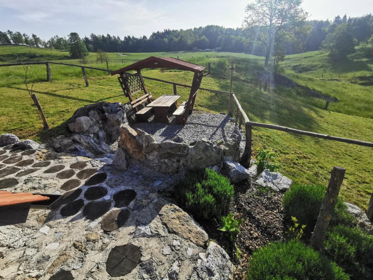 Farm Stay Ana Visnja Gora Extérieur photo