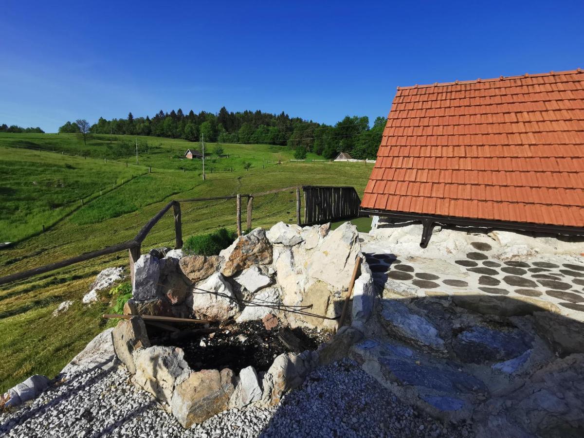 Farm Stay Ana Visnja Gora Extérieur photo