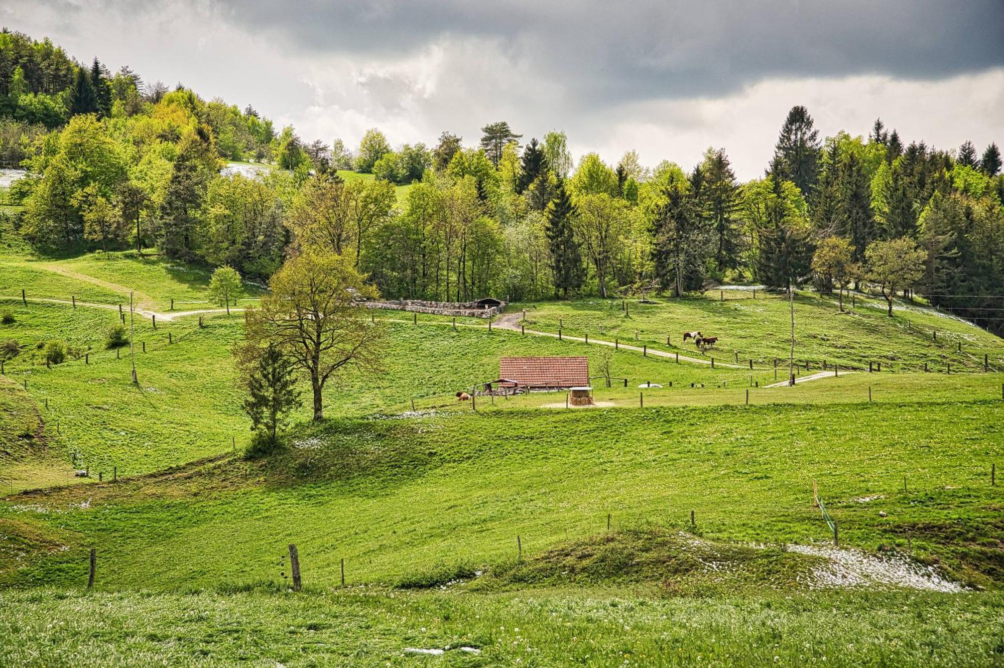 Farm Stay Ana Visnja Gora Extérieur photo