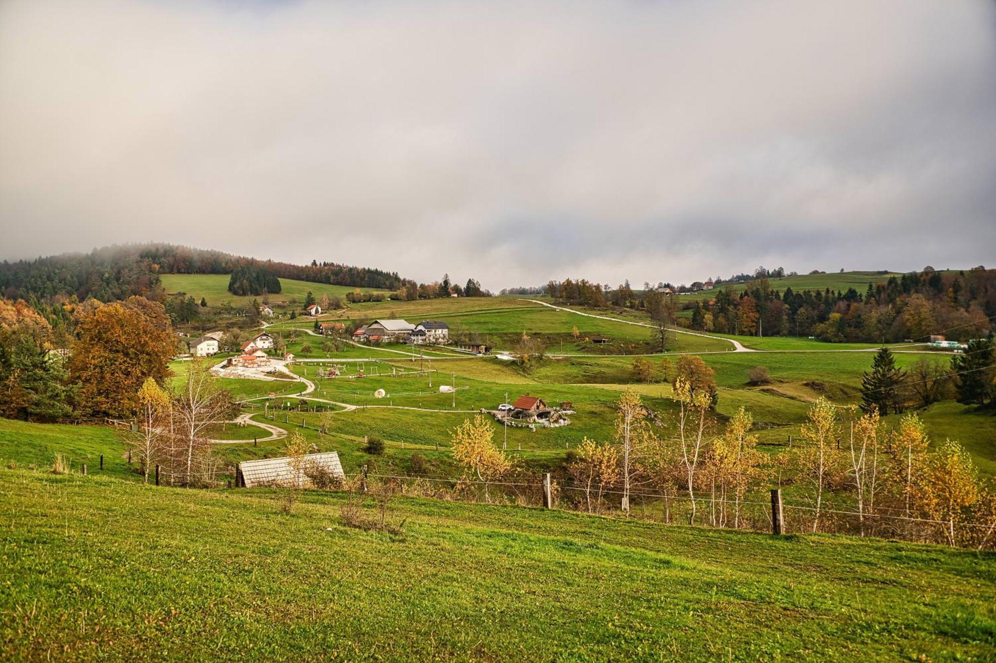 Farm Stay Ana Visnja Gora Extérieur photo