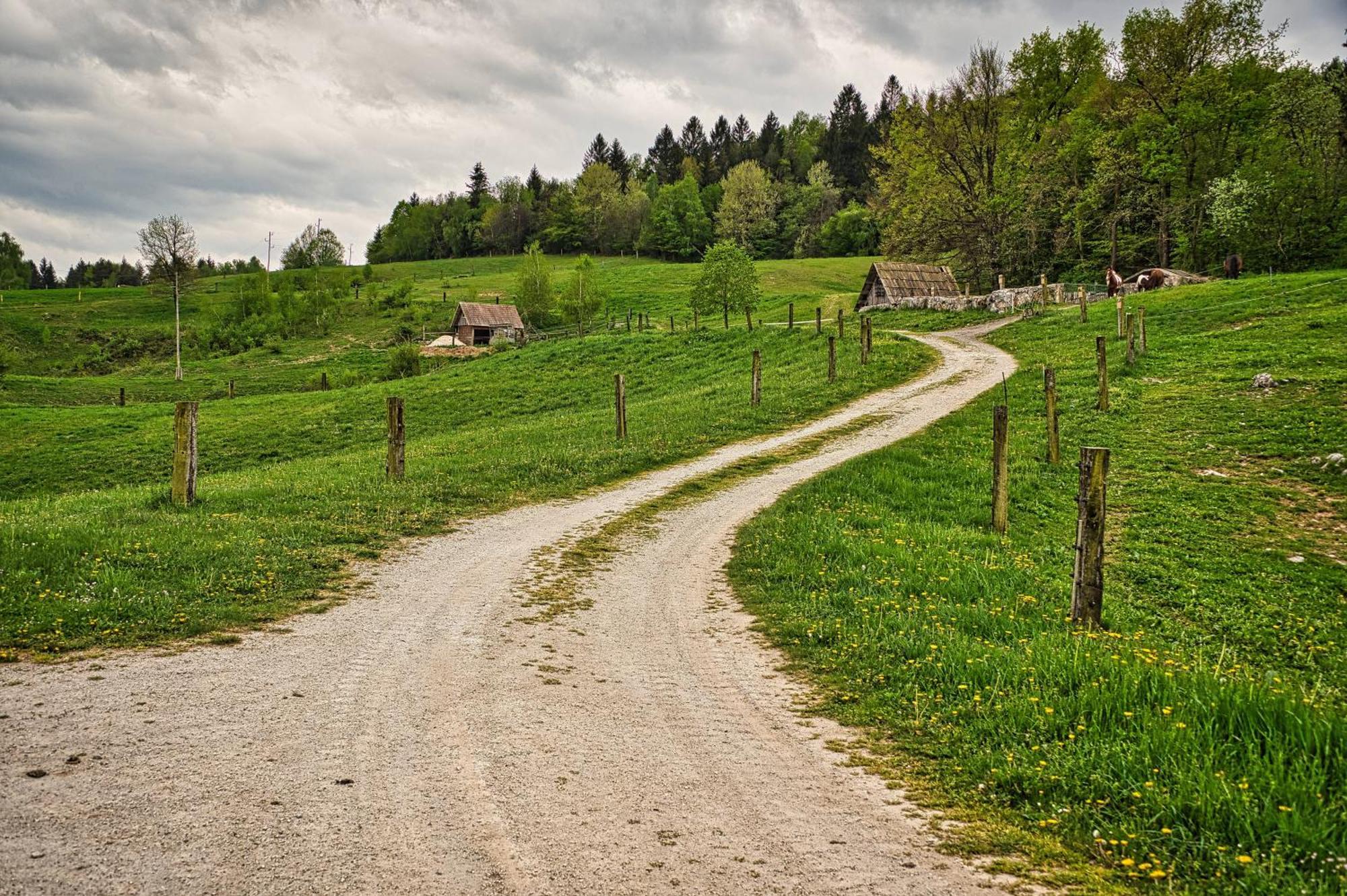 Farm Stay Ana Visnja Gora Extérieur photo