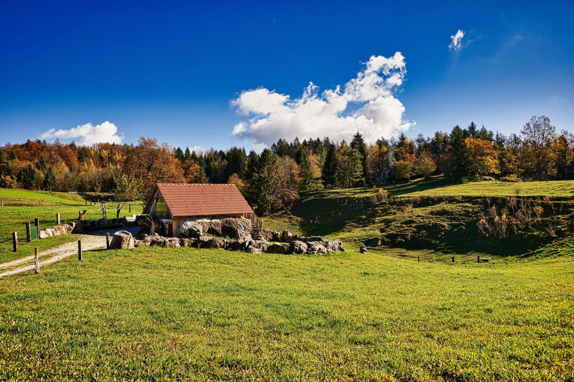 Farm Stay Ana Visnja Gora Extérieur photo