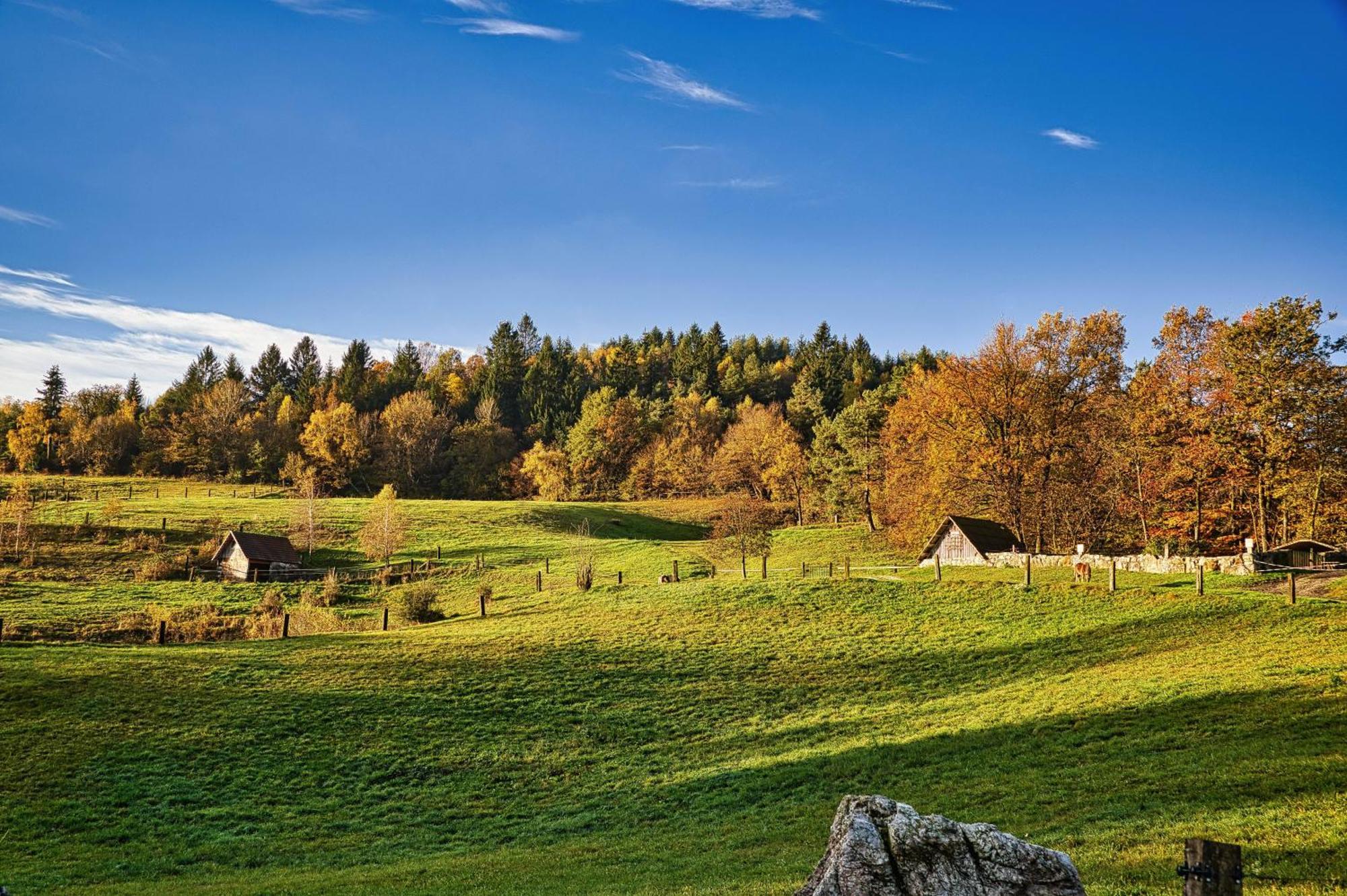 Farm Stay Ana Visnja Gora Extérieur photo