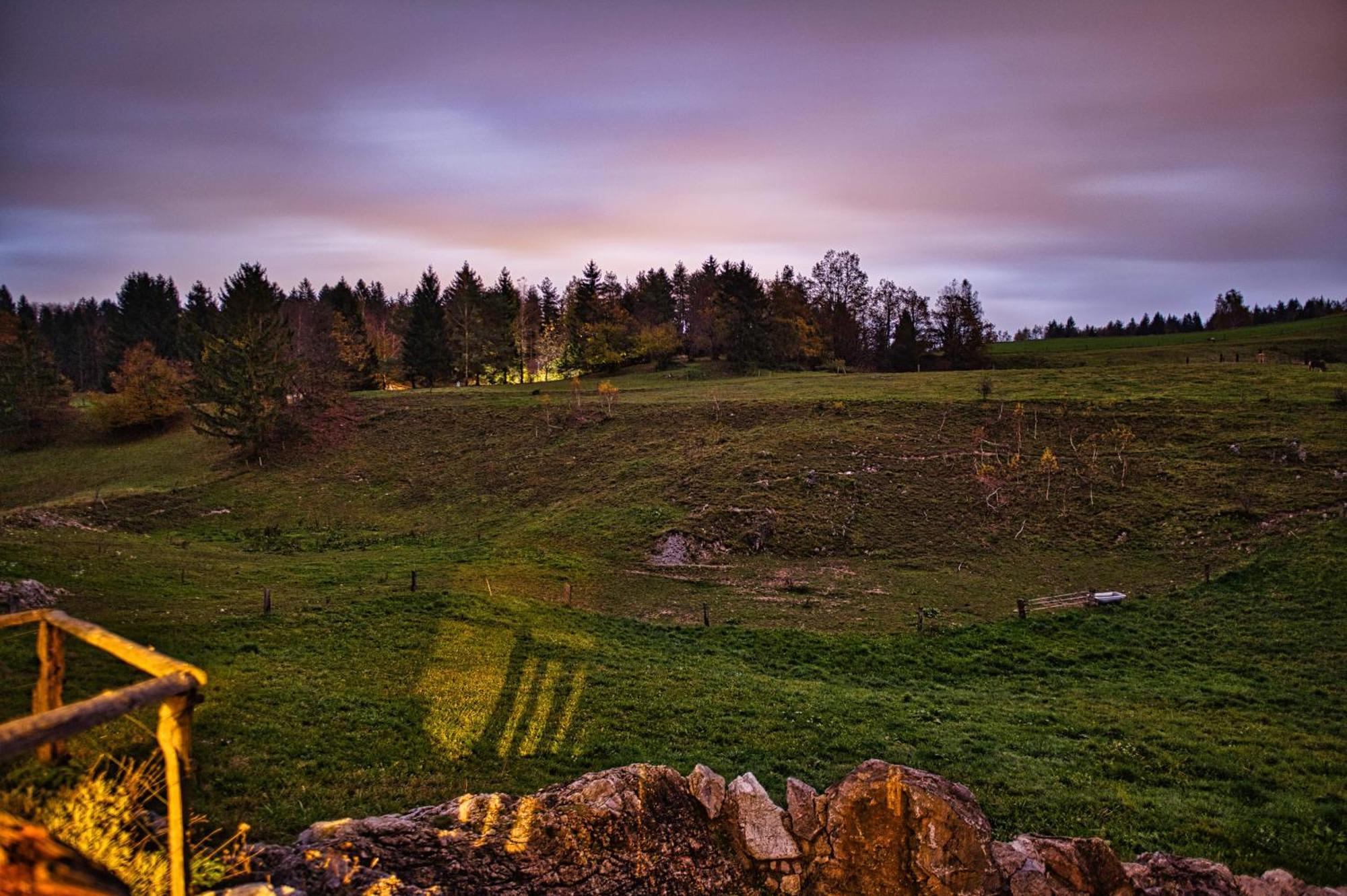 Farm Stay Ana Visnja Gora Extérieur photo