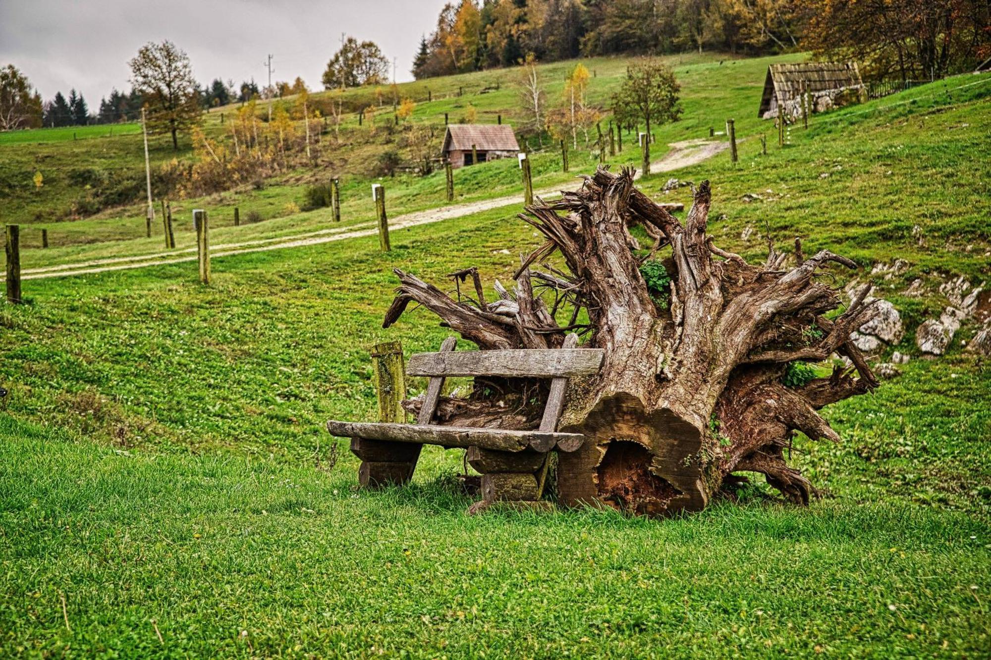 Farm Stay Ana Visnja Gora Extérieur photo